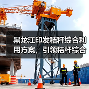 黑龙江印发秸秆综合利用方案,引领秸秆综合利用提质增效(图1) 黑龙江印发秸秆综合利用方案,引领秸秆综合利用提质增效(图1)