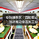 阜阳颍东区“四轮驱动”加速推动食品加工业高质量发展(图3) 阜阳颍东区“四轮驱动”加速推动食品加工业高质量发展(图3)