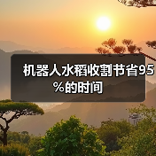机器人水稻收割节省95%的时间(图4) 机器人水稻收割节省95%的时间(图4)