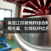 黑龙江印发秸秆综合利用方案,引领秸秆综合利用提质增效(图4) 黑龙江印发秸秆综合利用方案,引领秸秆综合利用提质增效(图4)