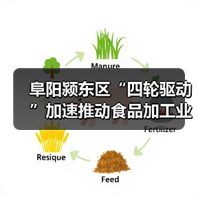 阜阳颍东区“四轮驱动”加速推动食品加工业高质量发展(图4) 阜阳颍东区“四轮驱动”加速推动食品加工业高质量发展(图4)