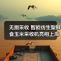 无损采收 智能仿生型鲜食玉米采收机亮相上海市(图3) 无损采收 智能仿生型鲜食玉米采收机亮相上海市(图3)
