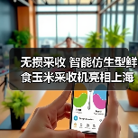 无损采收 智能仿生型鲜食玉米采收机亮相上海市(图4) 无损采收 智能仿生型鲜食玉米采收机亮相上海市(图4)