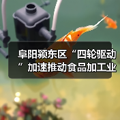 阜阳颍东区“四轮驱动”加速推动食品加工业高质量发展(图4) 阜阳颍东区“四轮驱动”加速推动食品加工业高质量发展(图4)