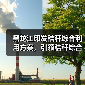 黑龙江印发秸秆综合利用方案,引领秸秆综合利用提质增效(图4) 黑龙江印发秸秆综合利用方案,引领秸秆综合利用提质增效(图4)