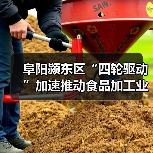 阜阳颍东区“四轮驱动”加速推动食品加工业高质量发展(图3) 阜阳颍东区“四轮驱动”加速推动食品加工业高质量发展(图3)