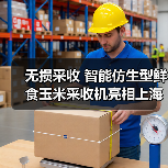 无损采收 智能仿生型鲜食玉米采收机亮相上海市(图3) 无损采收 智能仿生型鲜食玉米采收机亮相上海市(图3)