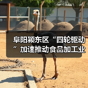 阜阳颍东区“四轮驱动”加速推动食品加工业高质量发展(图2) 阜阳颍东区“四轮驱动”加速推动食品加工业高质量发展(图2)