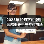 2023年10月下旬流通领域重要生产资料市场价格变动情况（图3）