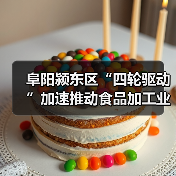 阜阳颍东区“四轮驱动”加速推动食品加工业高质量发展(图3) 阜阳颍东区“四轮驱动”加速推动食品加工业高质量发展(图3)