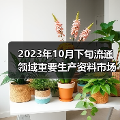 2023年10月下旬流通领域重要生产资料市场价格变动情况（图4）