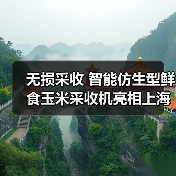 无损采收 智能仿生型鲜食玉米采收机亮相上海市（图3）