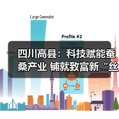 四川高县:科技赋能蚕桑产业 铺就致富新“丝”路(图3) 四川高县:科技赋能蚕桑产业 铺就致富新“丝”路(图3)