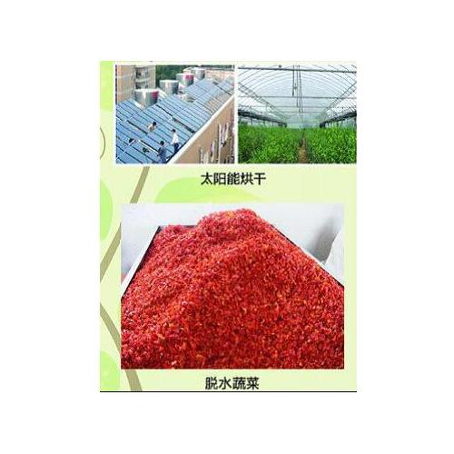 辣椒太阳能烘干系统