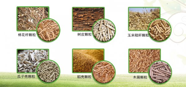 [新品] 5HH-48.6果蔬烘干机(5HH-48.6)(图5)