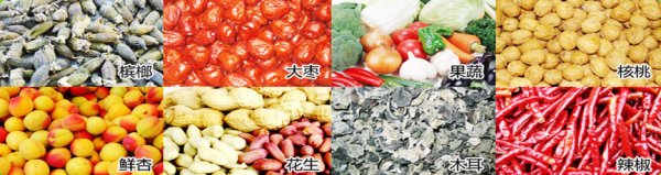 [新品] 5HFP-50.1果蔬烘干机(5HFP-50.1)(图2)