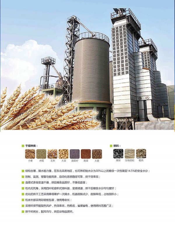 [新品] DS系列 高温连续式烘干塔(DS系列)(图2)